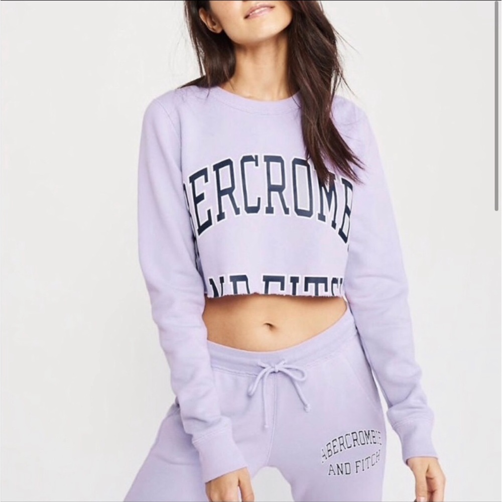Abercrombie and fitch cropped sweatshirt